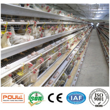 Livestock Machinery Battery Layer Cage House 128 Birds